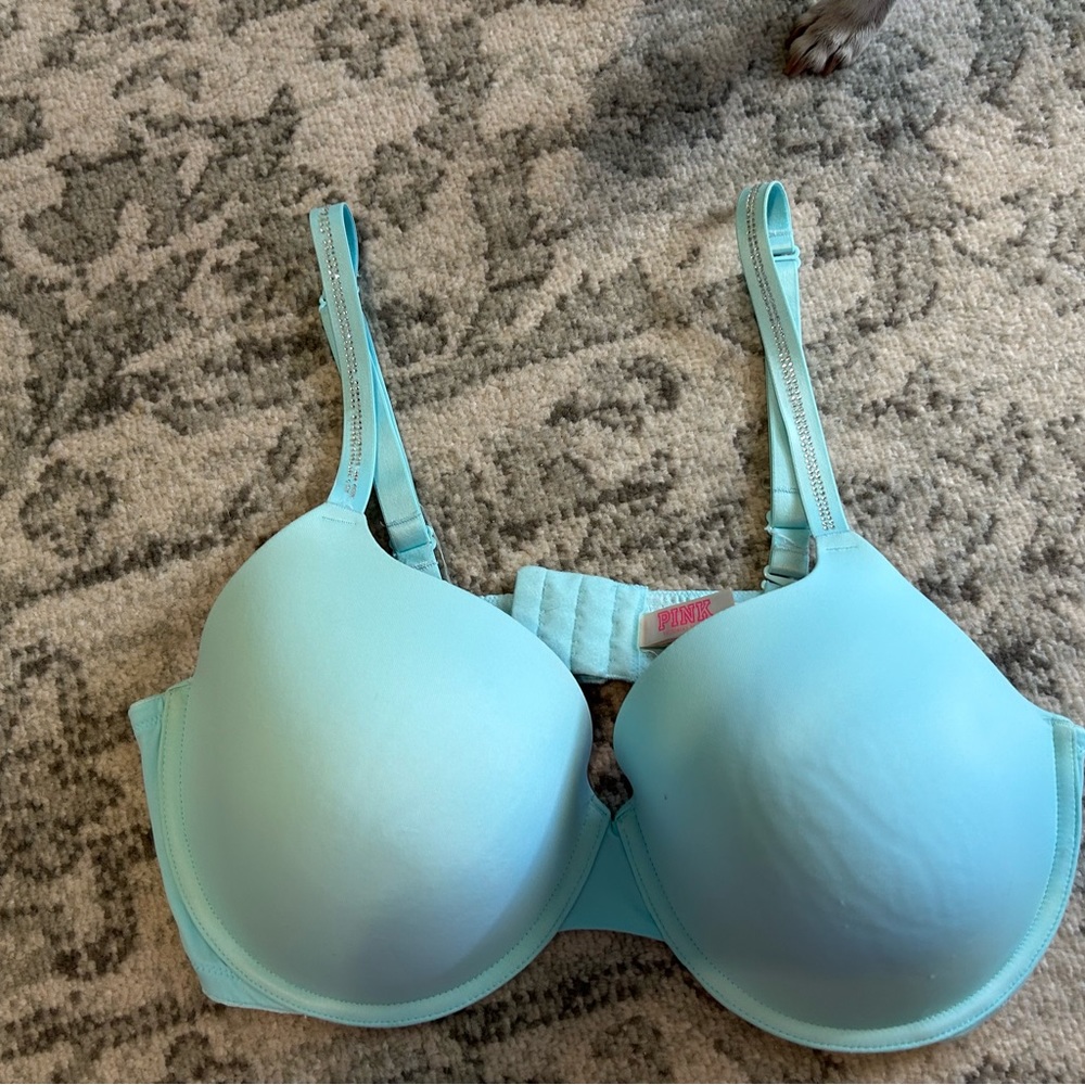 Victoria Secrets Green Bra from the “Pink” collection.